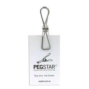 Peg Star (20) Stainless Steel Lifetime Pegs